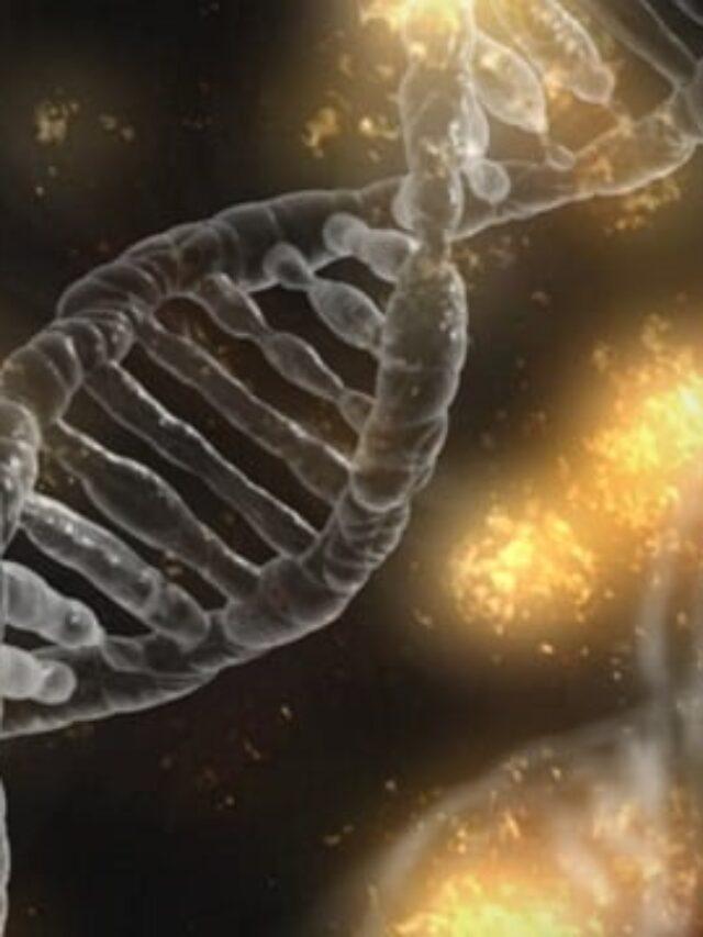 The Applications of DLP Bioprinting